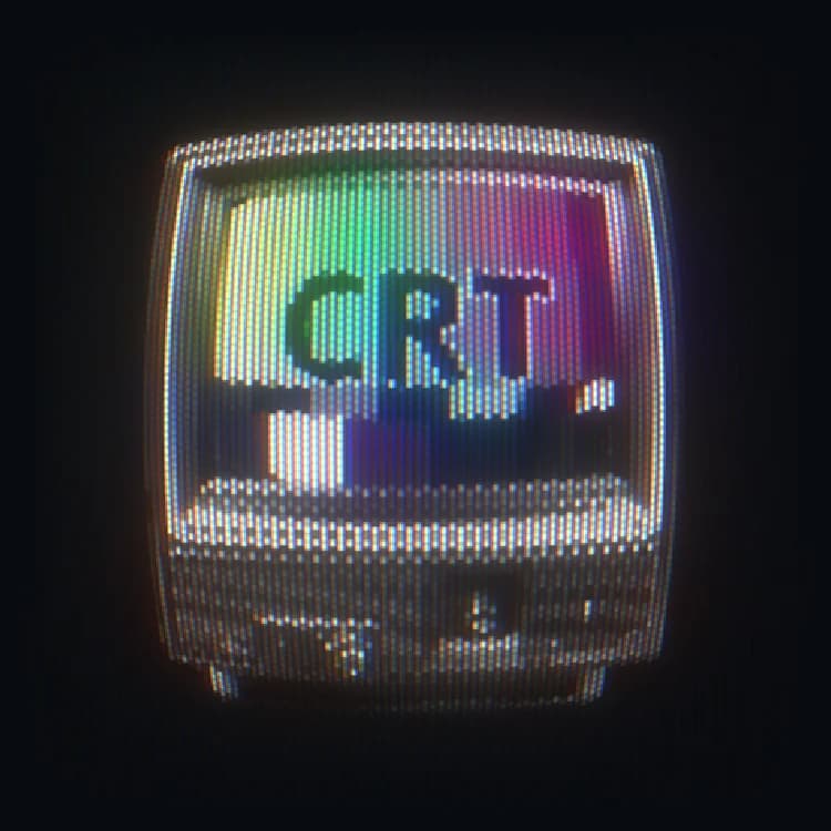 Lens Distortion